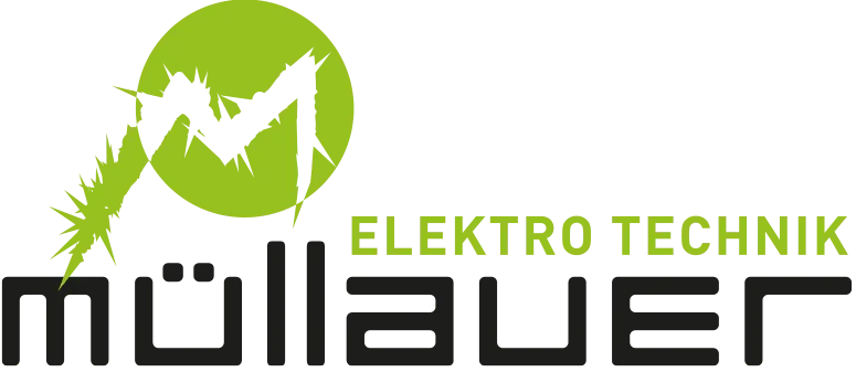 Die Elektroprofis