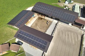 Dach Bild 3